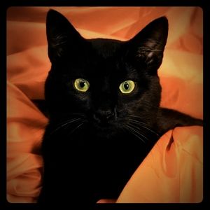 Meet your Posher, Denise